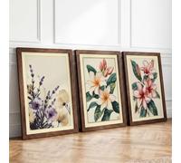 Botanical Studies Triptych Botanical Set of 3 Framed Wall Art Prints A4