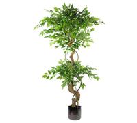 Botanik 150cm Twisted Trunk Artificial Japanese Fruticosa Ficus Tree Rainbow Planter