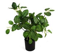 Botanik 40cm Artificial Variegated Pothos Plant
