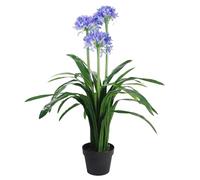 Agapanthus Blue Flower Plant Realistic Faux House Plants 90Cm Botanik, Blue