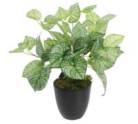 Artificial Foliage Plant Realistic Pot 40Cm Caladium Realistic Faux House Plants Botanik, Green