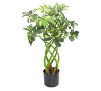 Botanik Artificial Office Plants, 70cm