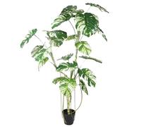 Botanik Leaf Artificial Plant, 210cm Variegated Monstera, 210 cm