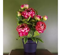 Botanik Luxury Flowering Artificial Plants, 52cm Pink Peony