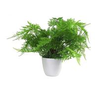 Artificial Fern Plant Pot Lady Fern 30Cm Leaf Design UK Realistic Plants Botanik, Green
