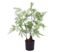 Artificial Fern Tree Plant Natural Moss 60cm 2ft Leaf Trees Realistic Plant Botanik Leaf Green One Size