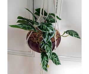 Botanik Premium Artificial Hanging Plants