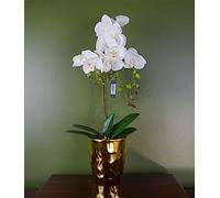 Botanik Realistic Artificial Orchid Plants Fully Potted