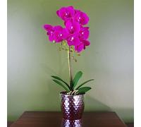 Botanik Realistic Artificial Orchid Plants Fully Potted