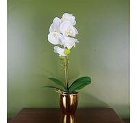Botanik Realistic Artificial Orchid Plants Fully Potted