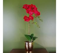 Botanik Realistic Artificial Orchid Plants Fully Potted