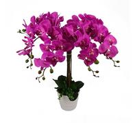 Botanik Realistic Artificial Orchid Plants Fully Potted