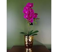Botanik Realistic Artificial Orchid Plants Fully Potted
