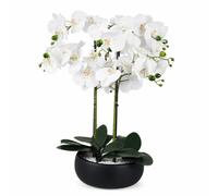Botanik Realistic Artificial Orchid Plants Fully Potted
