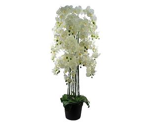 Botanik Realistic Artificial Orchid Plants Fully Potted