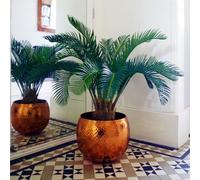 Large Artificial Palm Tree 80cm Cycas Realistic Plant Leaf Design UK Botanik Leaf Green One Size