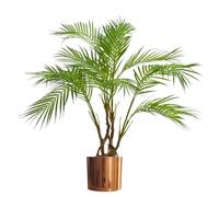 Botanik Realistic Potted Artificial Palm and Tropical Trees - Ready to Display