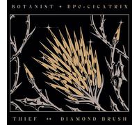 Botanist / Thief - Cicatrix / Diamond Brush