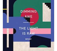 Botany - Dimming Awe, The Light Is Raw [VINYL]