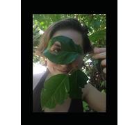 Botany: Laboratory Manual for online courses and independent study
