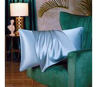 Both Sides Luxury Mulberry Silk Pillowcase 19 Momme Soft Breathable Avoid Facial Wrinkles Hidden Zipper 1pc/pack 100% Pure Natural Silk (Lt.Blue, Standard 50x75cm)