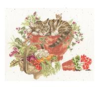 Bothy Threads Counted Cross Stitch Kit - Purrrfect Spot