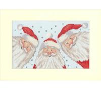Bothy Threads Counted Cross Stitch Kit - Santa Selfie