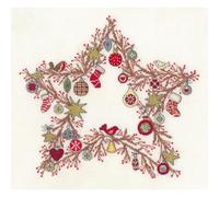 Bothy Threads Counted Cross Stitch Kit - Star of Wonder