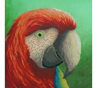 Bothy Threads Counted Cross Stitch Kit - Vision