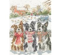 Bothy Threads Counted Cross Stitch Kit - While Shepherds Watched