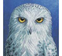 Bothy Threads Counted Cross Stitch Kit - Wisdom