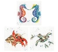 Bothy Threads ~ Counted Cross Stitch ~ Under The Sea Collection ~ Set of 3: Shell We Dance, Just Nippin' Out, Swimming School