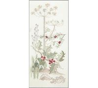 Bothy Threads Cross-stitch Kit, Cotton, Multi Colour, One - DWSP04 - 29cm x 13cm - Winter Floral - Adult