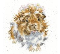 Bothy Threads Cross Stitch Kit - Grinny Pig