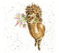 Bothy Threads Cross Stitch Kit - Hand-Picked for You