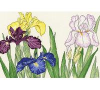 Bothy Threads Cross Stitch Kit - Iris Blooms
