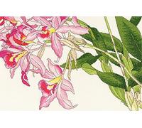 Bothy Threads Cross Stitch Kit - Orchid Blooms