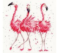 Bothy Threads Cross Stitch Kit - Pink Ladies