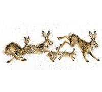 Bothy Threads Cross Stitch Kit - Spring in Your Step