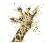 Bothy Threads Cross Stitch Kit - Thanks A Bunch