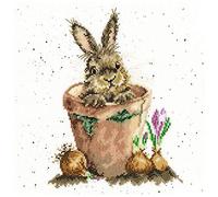 Bothy Threads Cross Stitch Kit - The Flower Pot