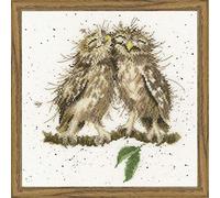 Bothy Threads Cross Stitch Kit - Wrendale Designs - Birds of A Feather