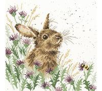 Bothy Threads Cross Stitch Kit - Wrendale Designs - The Meadow