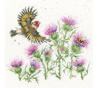 Bothy Threads - Feathers and Thistles Counted Cross Stitch Kit