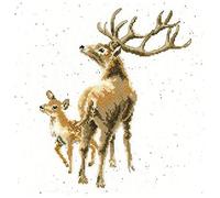 Bothy Threads Hannah Dale Wild at Heart Counted Cross Stitch