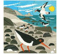 Bothy Threads Silken Long Stitch Kit - Oyster Catchers