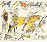 Bothy Threads - The Demise of King Harold Counted Cross Stitch Kit