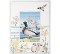 Bothy Threads Wildlife Mallard Counted Cross Stitch Kit 26.9 x 34.2 cm DWWIL8