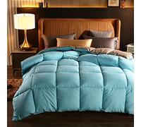 BOtizr 15 Tog King Size Duvet, Double Size Cover Sets, Spring/Autumn/Winter Warm Lightweight Down Comforter, N, 180x220cm (4kg)