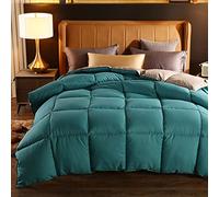 BOtizr Double Duvet,All Season Duvet Single,Down King Bed Size,Spring/Autumn/Winter Single Double Warm Lightweight Down Comforter,B,200x230cm (4kg)